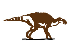 Brachylophosaurus canadensis