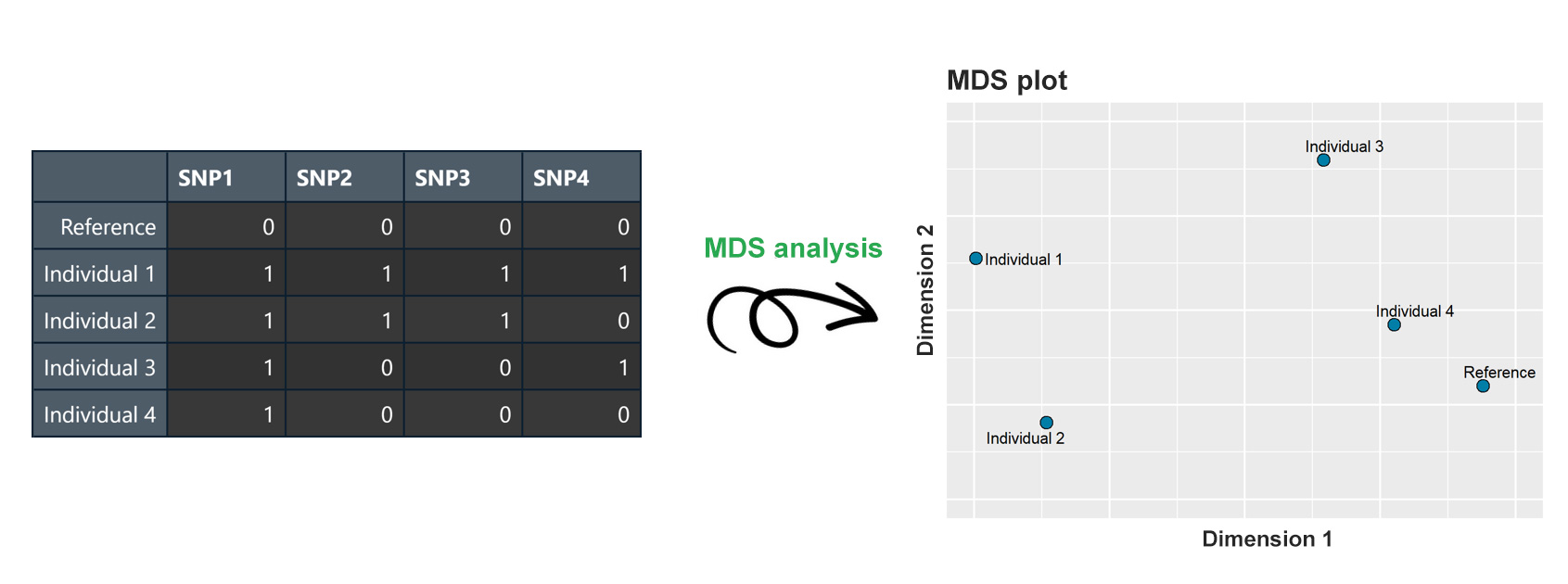 MDS plot figure