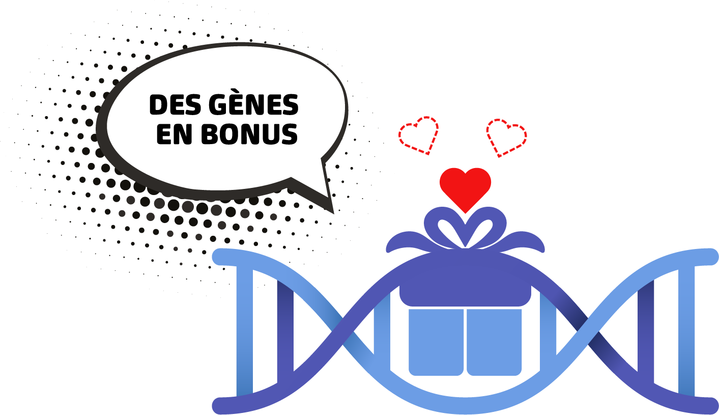 Des gènes en bonus