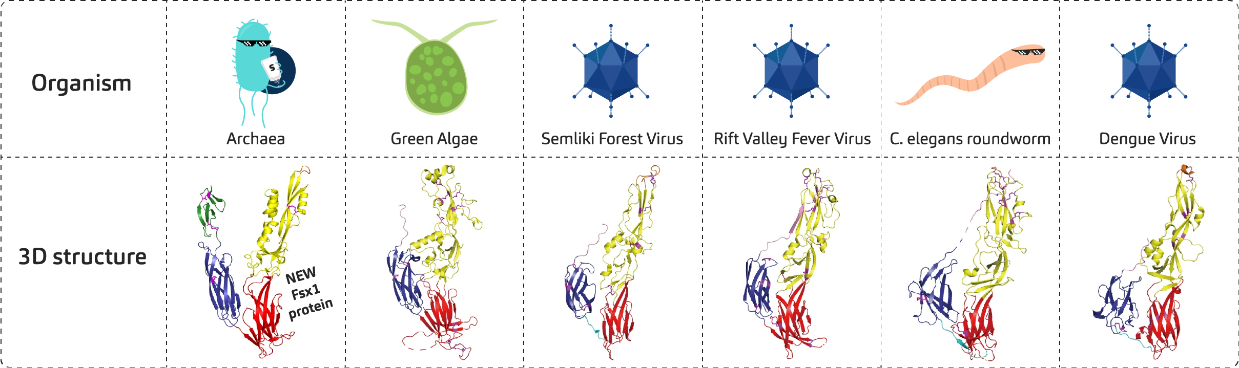 table-organism-3dstructure-v2.1