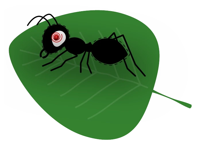 Zombie infected ant